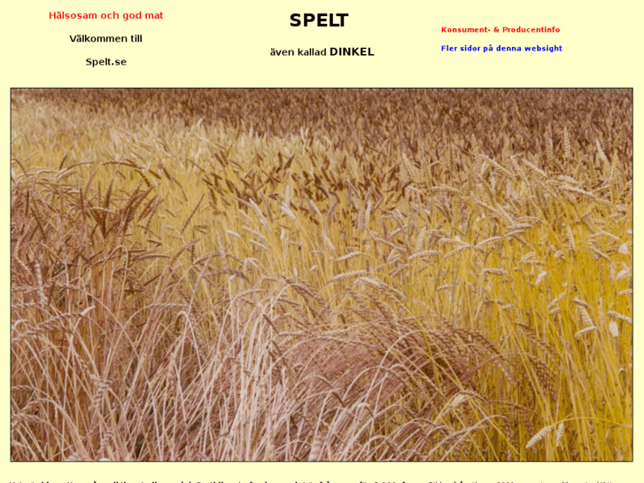 www.spelt.se