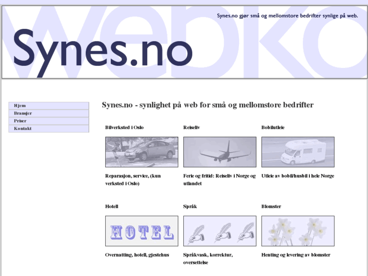 www.synes.no