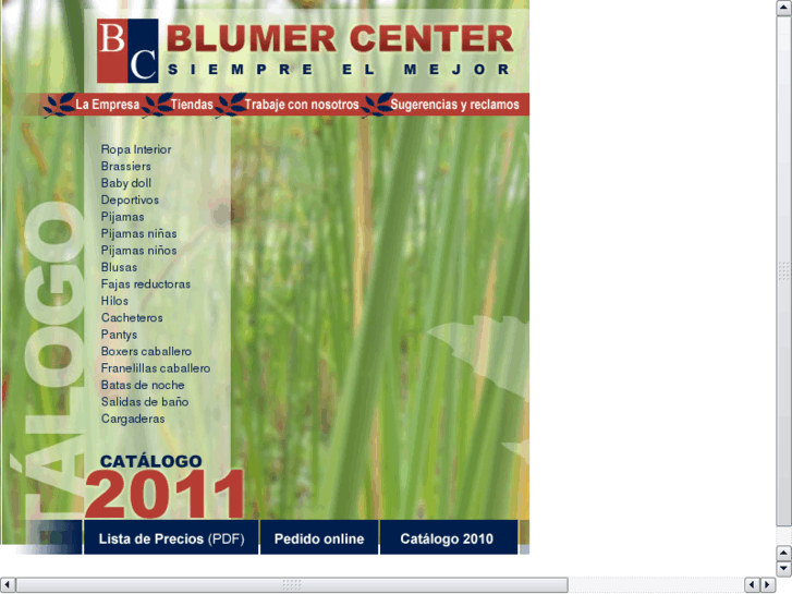 www.blumercenter.com