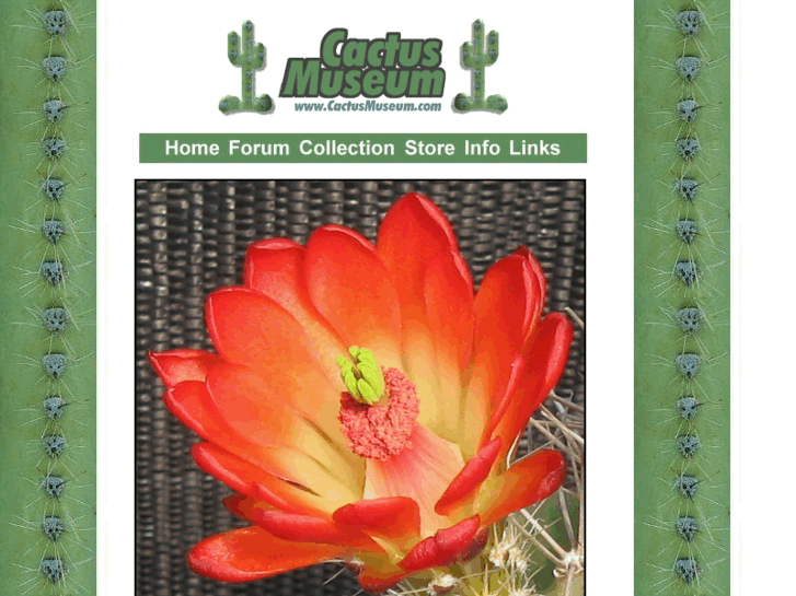 www.cactus.info