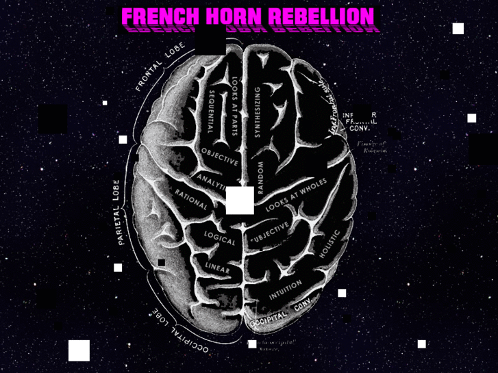 www.frenchhornrebellion.com