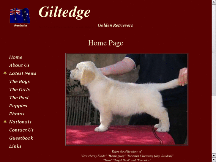 www.giltedgegoldens.com