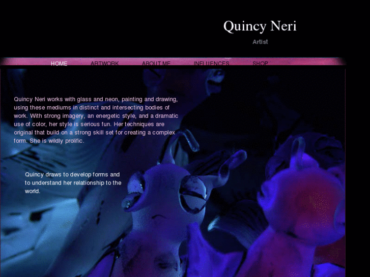 www.quincyneri.com