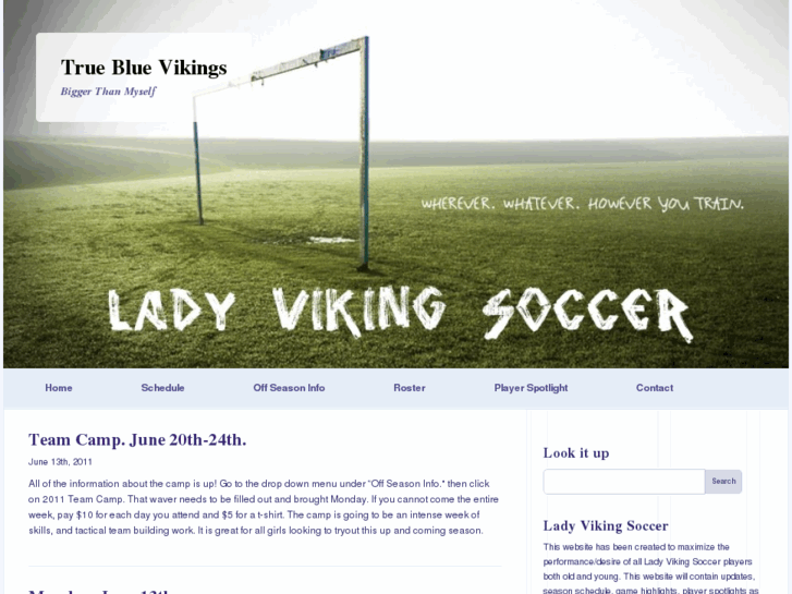 www.truebluevikings.com