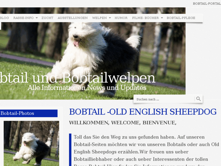 www.bobtail-bobtailwelpen.de