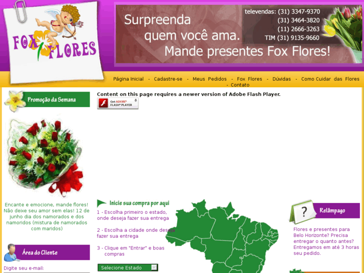 www.foxflores.com