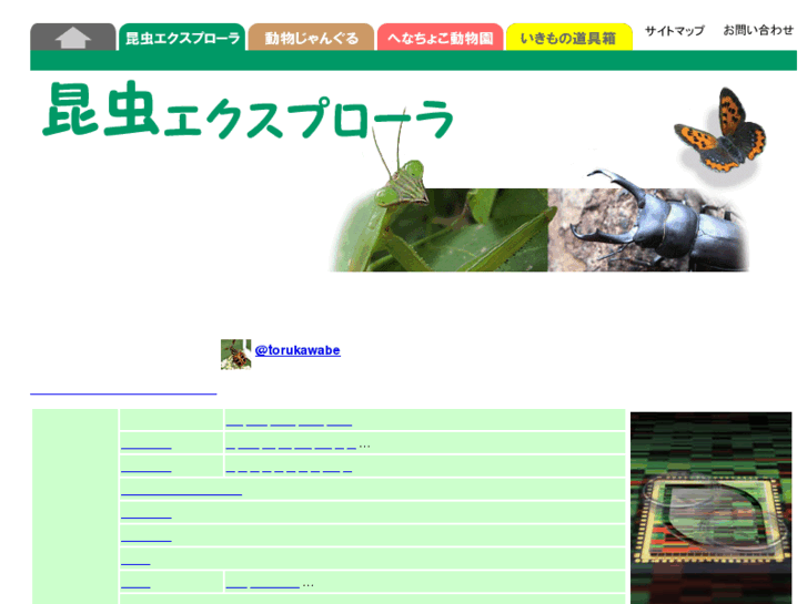 www.insects.jp