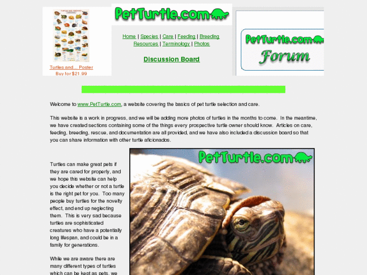 www.petturtle.com