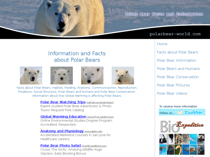www.polarbear-world.com