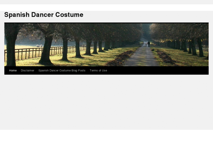 www.spanishdancercostumes.com