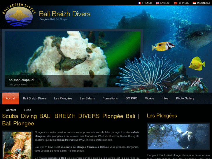 www.balibdivers.com