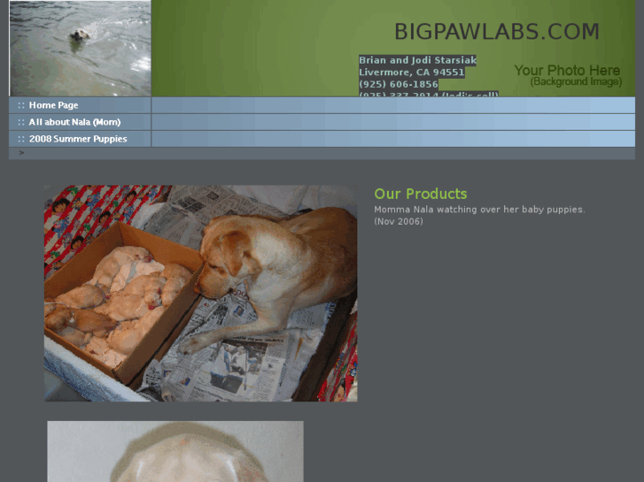 www.bigpawlabs.com