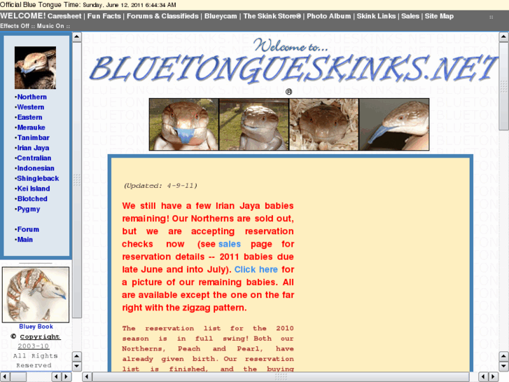 www.bluetongueskinks.net