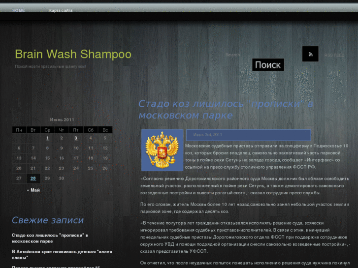 www.brainwashshampoo.com