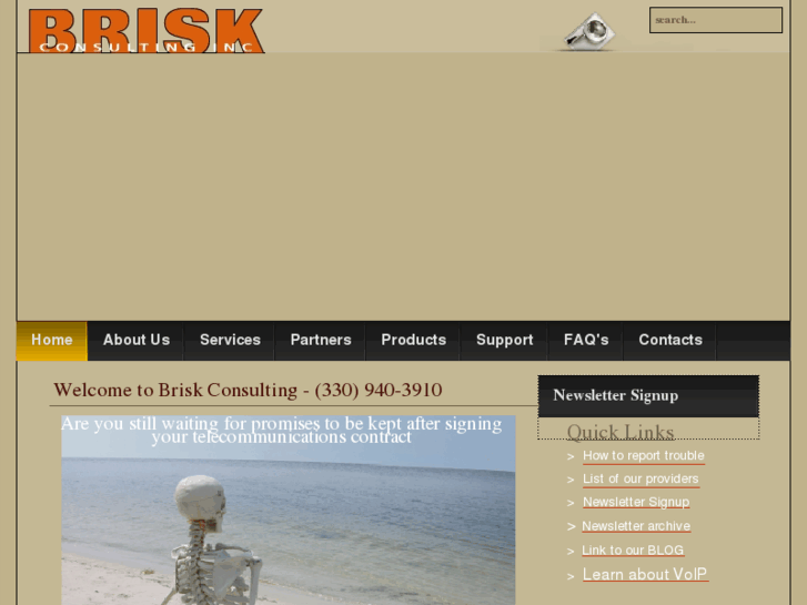 www.briskconsulting.com