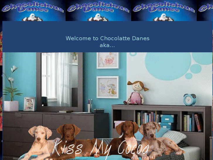 www.chocolattedanes.com