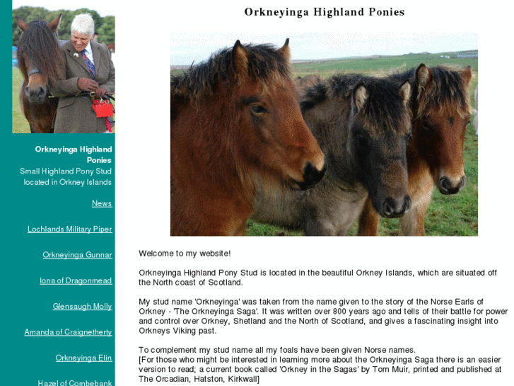 www.orkneyingahighlandponies.com