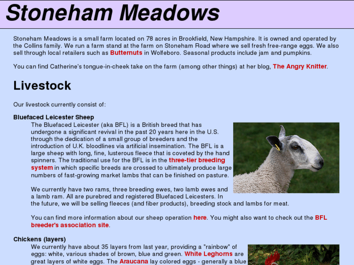 www.stonehammeadows.com