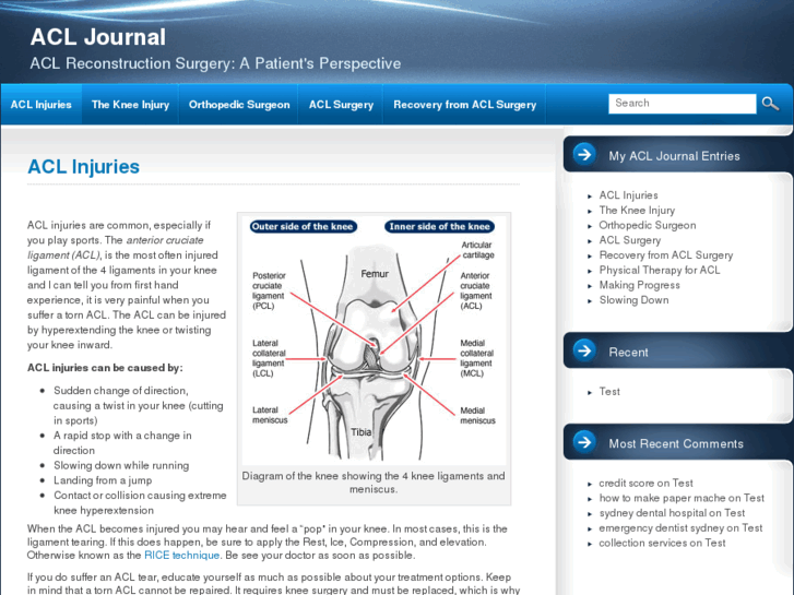 www.acljournal.com