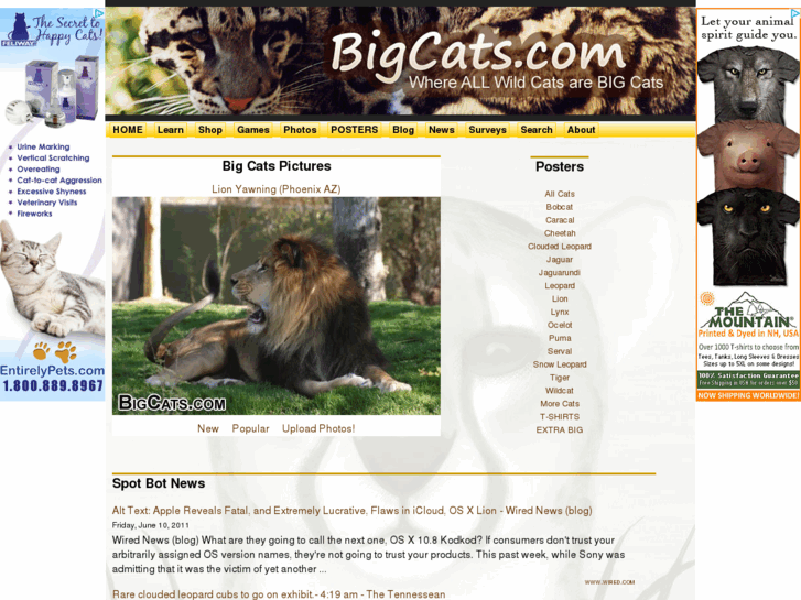 www.bigcats.net