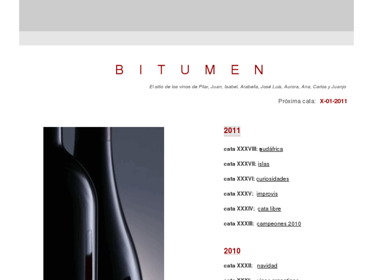 www.bitumen.es