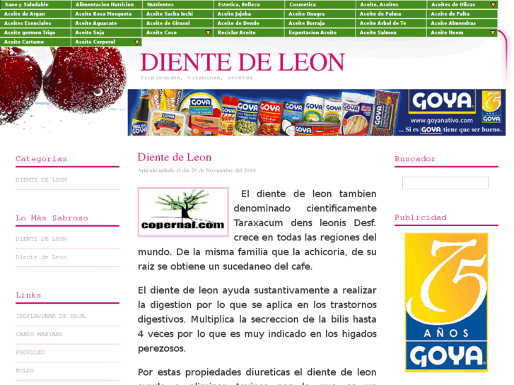 www.dienteleon.es