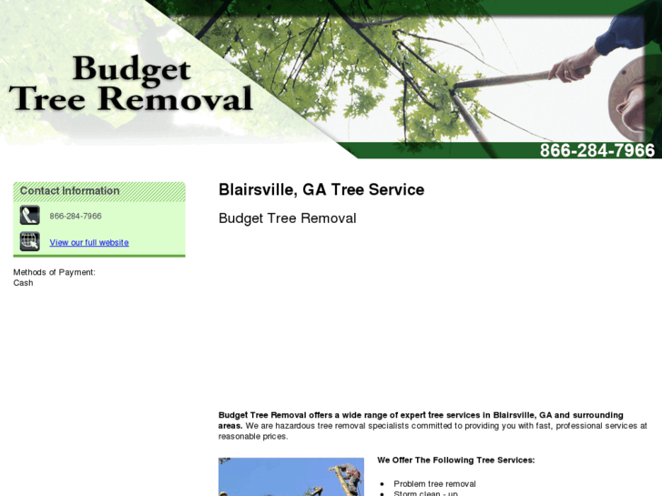 www.budgettreeremovalga.com