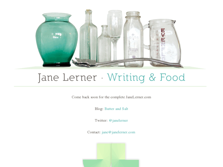 www.janelerner.com