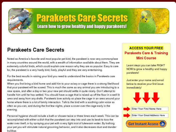 www.parakeetscaresecrets.com