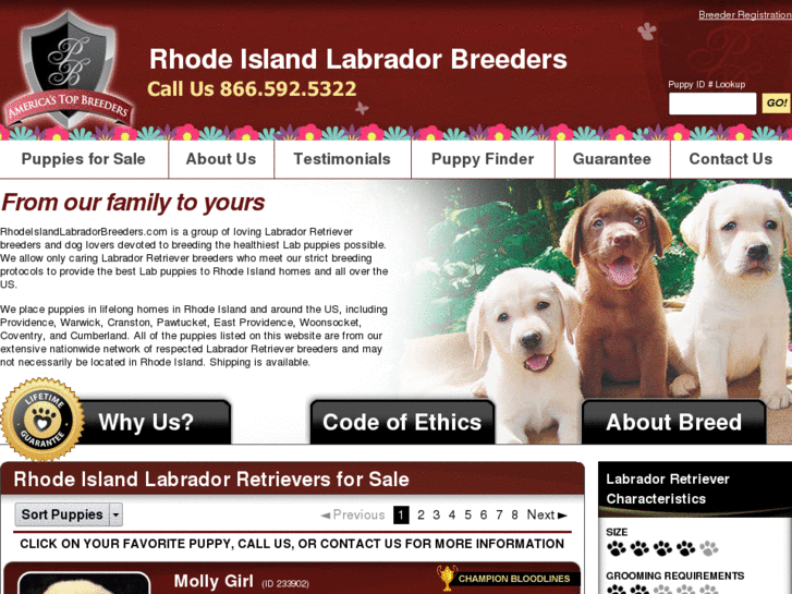 www.rhodeislandlabradorbreeders.com