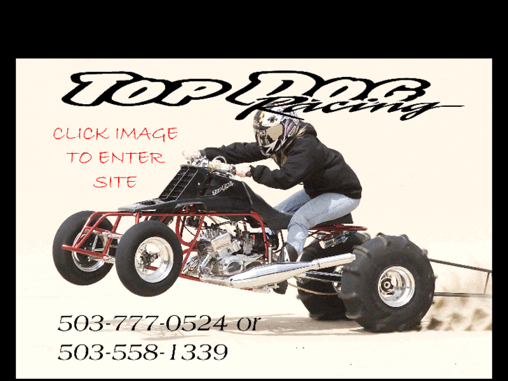 www.topdogracing.com