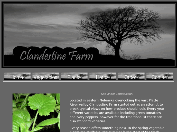 www.clandestinefarm.com