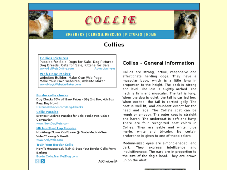 www.collie-dogs.com