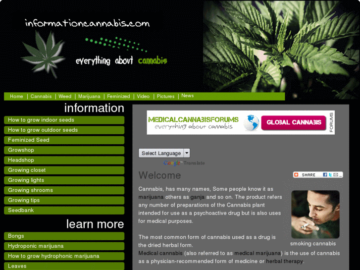 www.informationcannabis.com