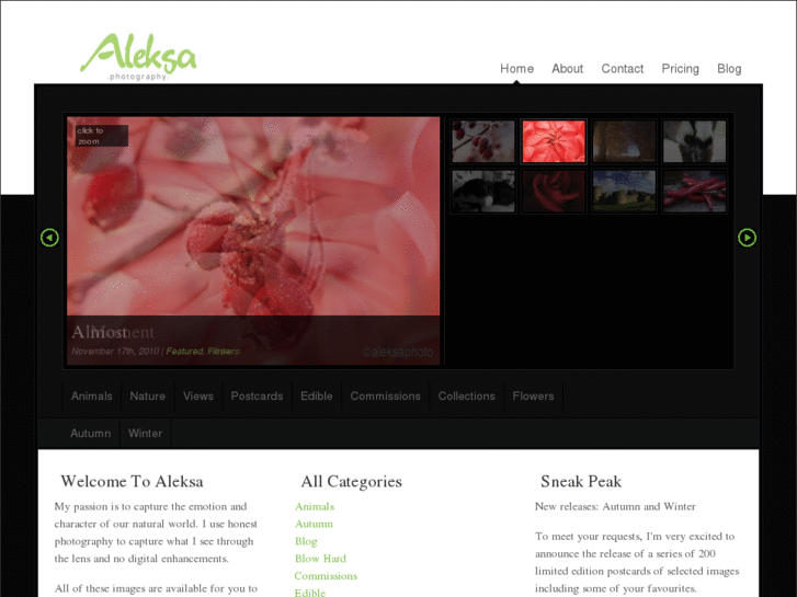 www.aleksaphoto.com