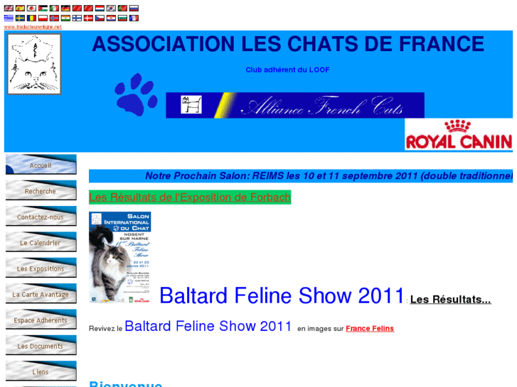 www.chatsdefrance.asso.fr