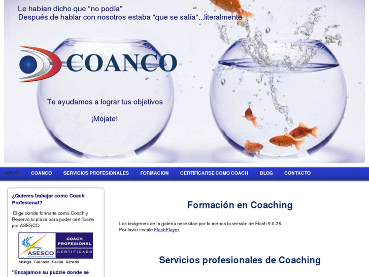 www.coanco.es