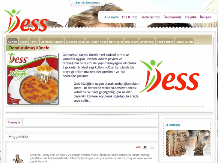 www.dessgida.com