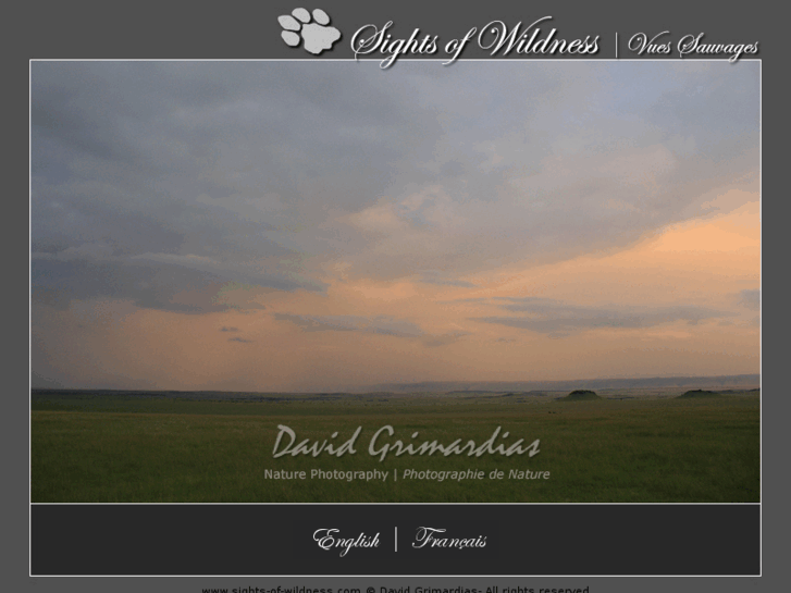 www.dg-photographs.com