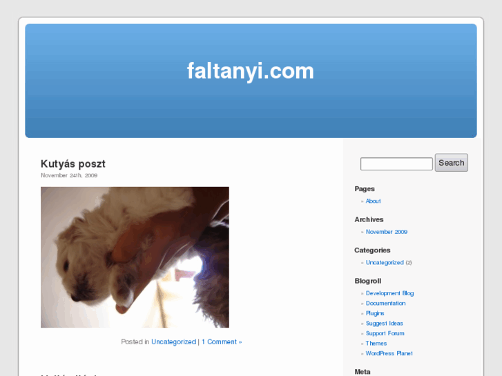 www.faltanyi.com