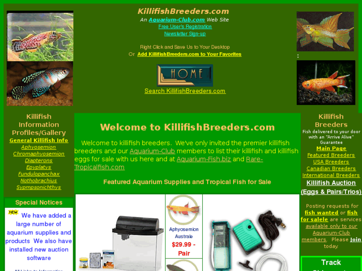 www.killifishbreeders.com