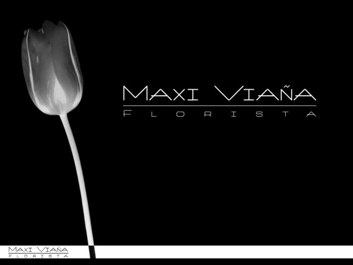 www.maxiviana.es