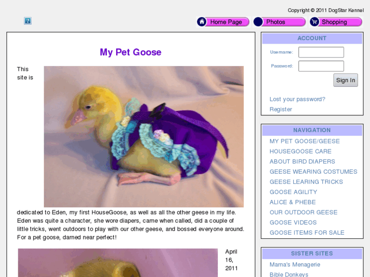 www.mypetgoose.com