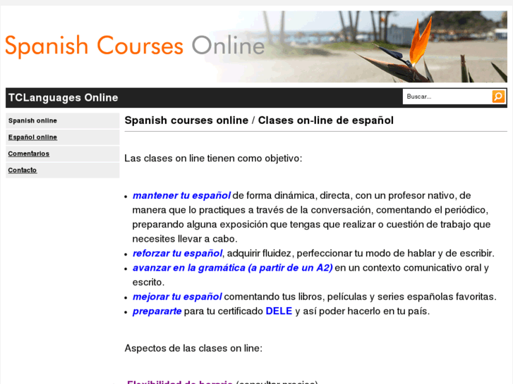 www.spanish-courses-online.com