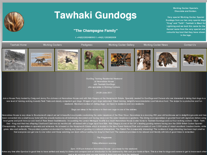 www.tawhakigundogs.com