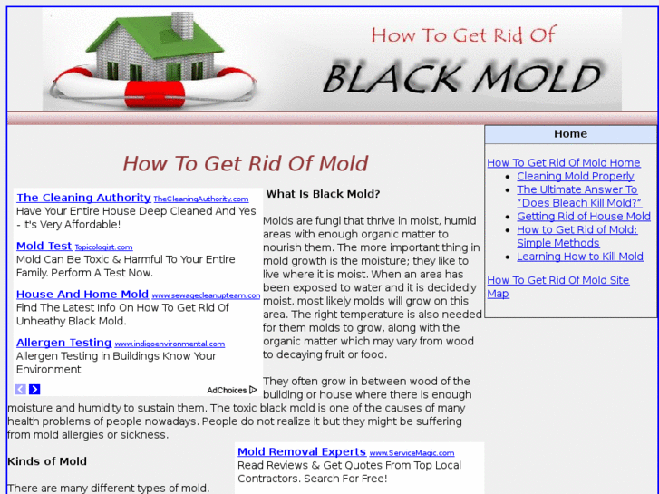 www.howtogetridofblackmold.com