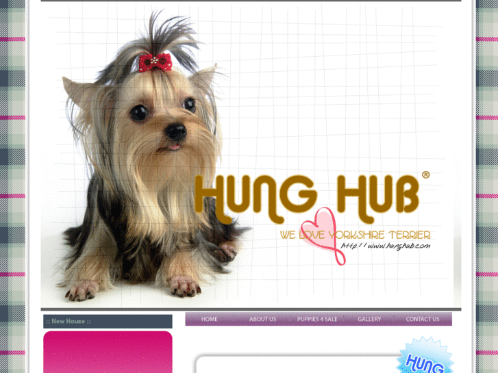 www.hunghub.com