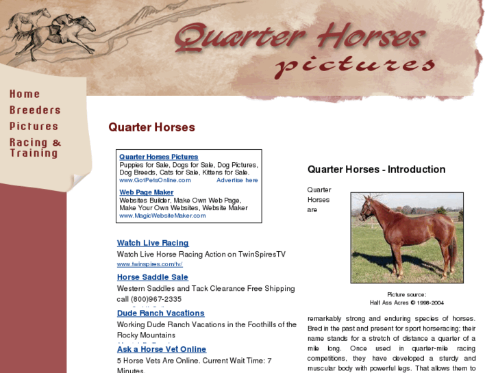 www.quarter-horses-pictures.com