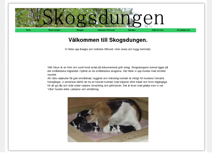 www.skogsdungen.com