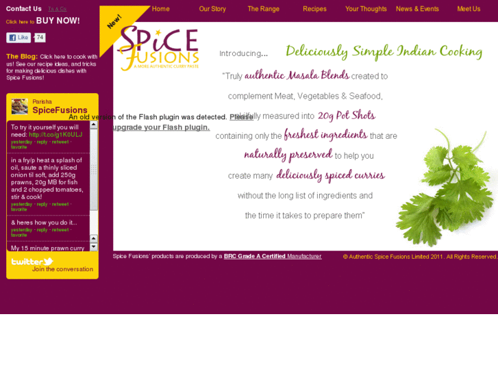 www.spicefusions.com